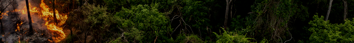 Combate aos incêndios 
