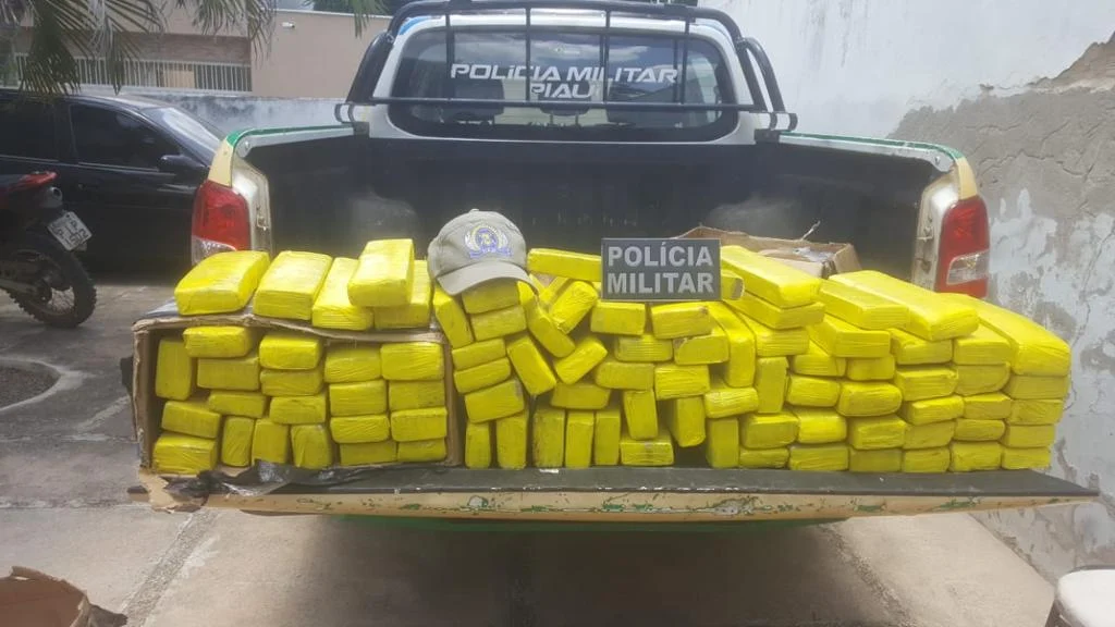 Polícia encontra 85 kg de droga enterrada em cova às margens de BR no sul do Piauí