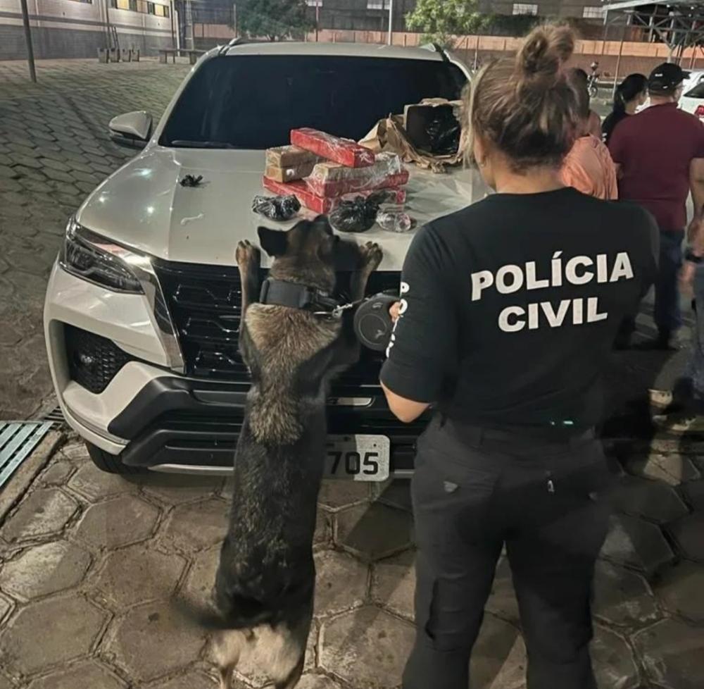 Dois homens são presos com drogas em ônibus interestadual em Floriano
