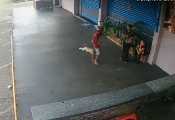 Funcionários de panificadora em Floriano são vítimas de assalto enquanto aguardavam abertura do estabelecimento