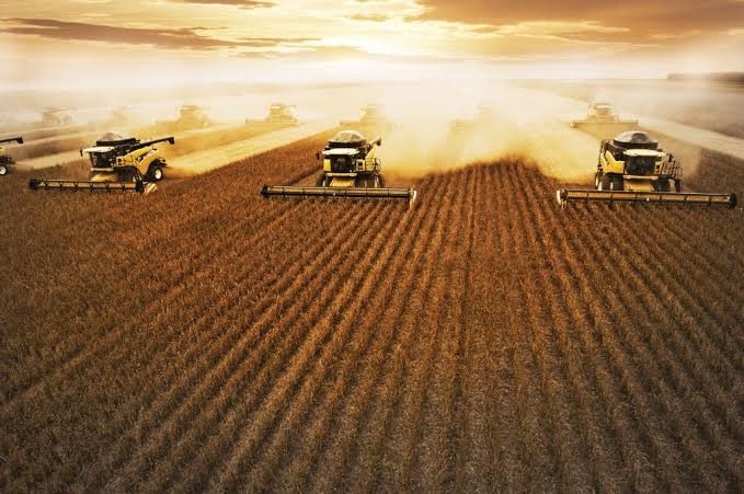 Piauí tem crescimento na balança comercial no primeiro semestre de 2023