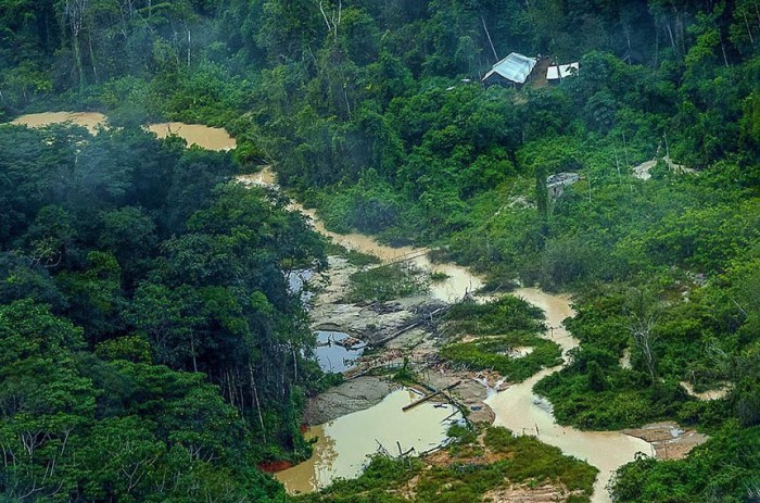 Medida provisória destina R$ 140 milhões para defesa de terras ianomâmis