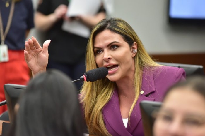 Comissão aprova criação de selo para empresas que acolham vítimas de violência doméstica