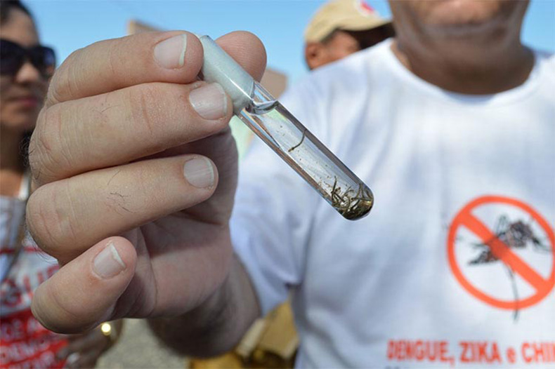 19 municípios piauienses estão com alta incidência de dengue e quatro mortes registradas
