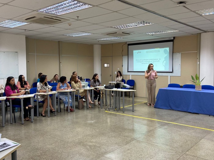 Sesapi capacita membros do Comitê de Investigação da Transmissão Vertical do HIV e sífilis