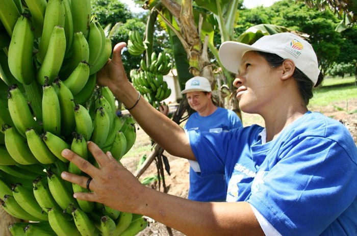 Mulheres agricultoras terão prioridade no fornecimento para merenda escolar