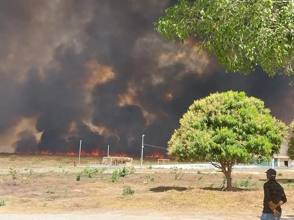 'Se o vento não mudar de direção, o fogo pode atingir a Serra das Confusões', diz Corpo de Bombeiros
