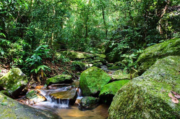 Sancionada lei que reforça Fundo Nacional do Meio Ambiente