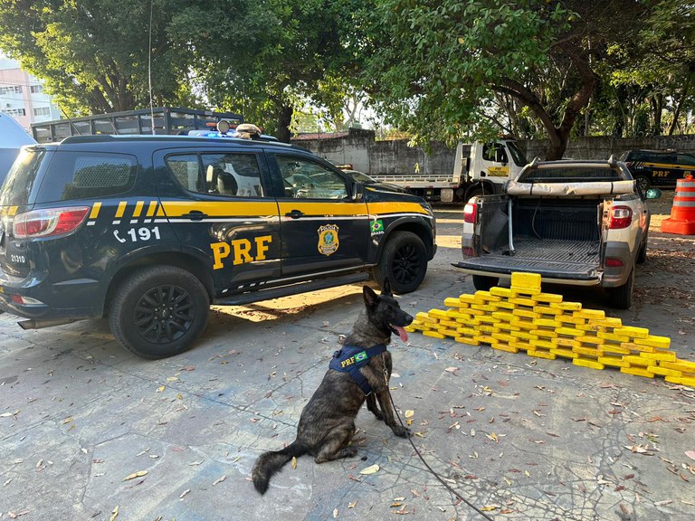 PRF no Piauí apreende mais de 62 kg de entorpecentes e uma pessoa é presa