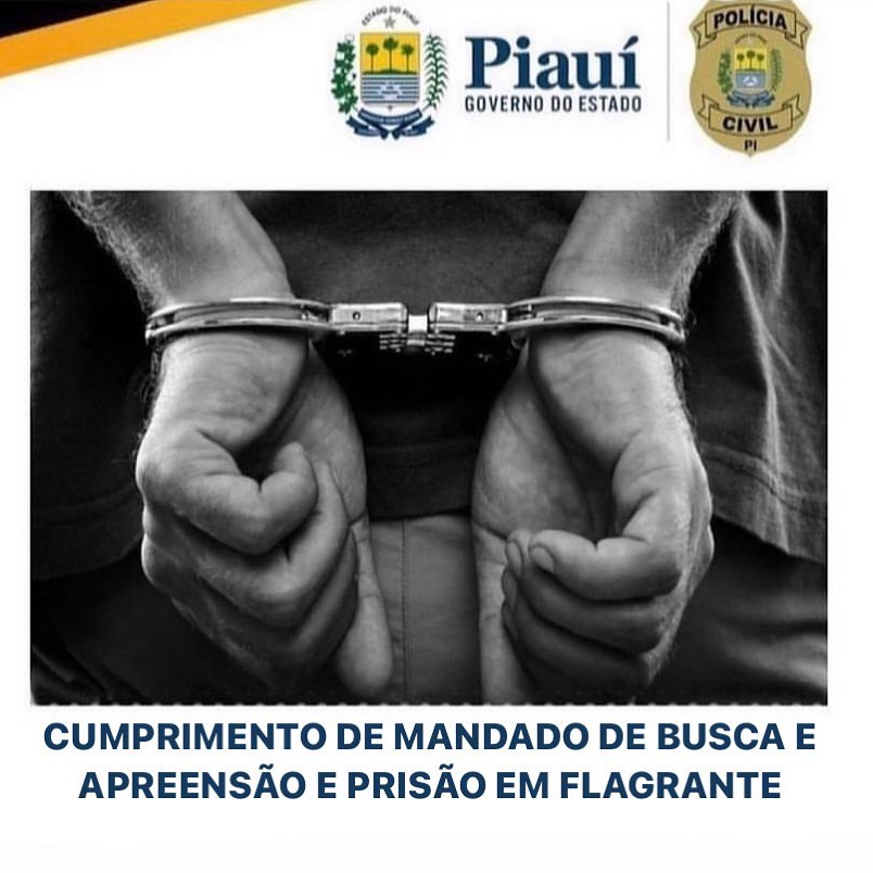 Polícia Civil cumpre mandado de busca e apreensão e prisão em flagrante em Floriano