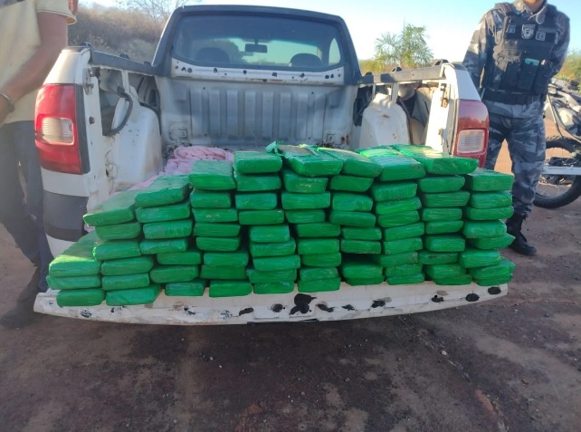 Policia Militar apreende quase 80 kg de maconha em Simplício Mendes-PI