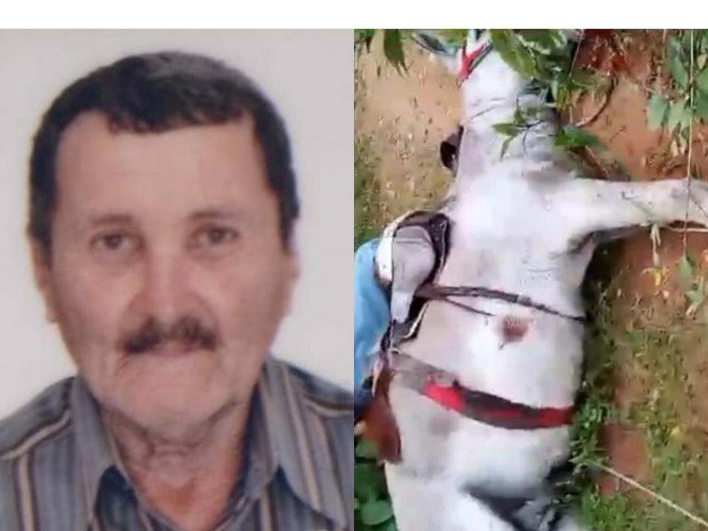 Vaqueiro e jumento morrem eletrocutados na zona rural de Oeiras