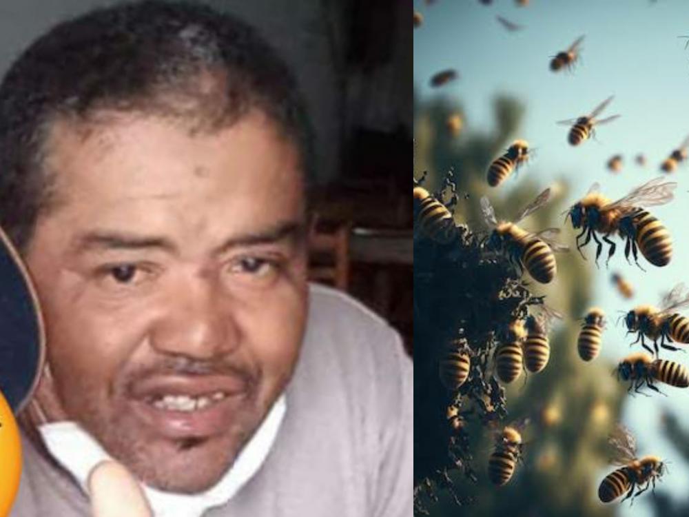 Homem morre após ser atacado por enxame de abelhas