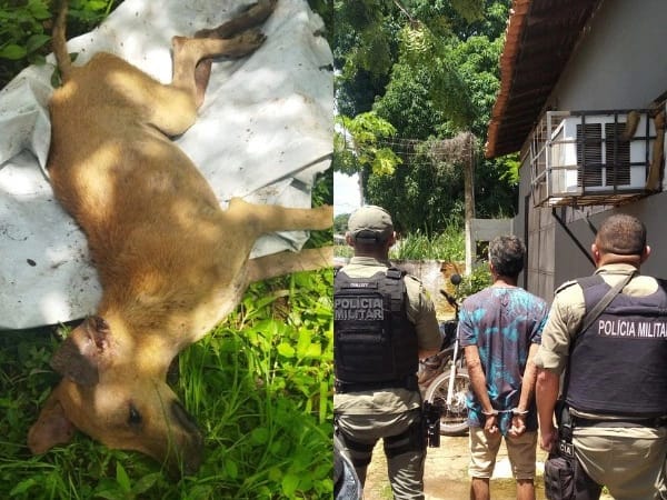 Homem é preso suspeito estuprar e matar cadela em cidade do Piauí
