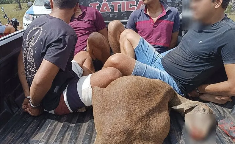 Quatro são presos suspeitos de matar e tentar furtar ovelha