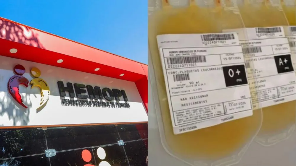 Hemopi inicia produção e distribuição de plaquetas em Floriano e descentraliza serviço