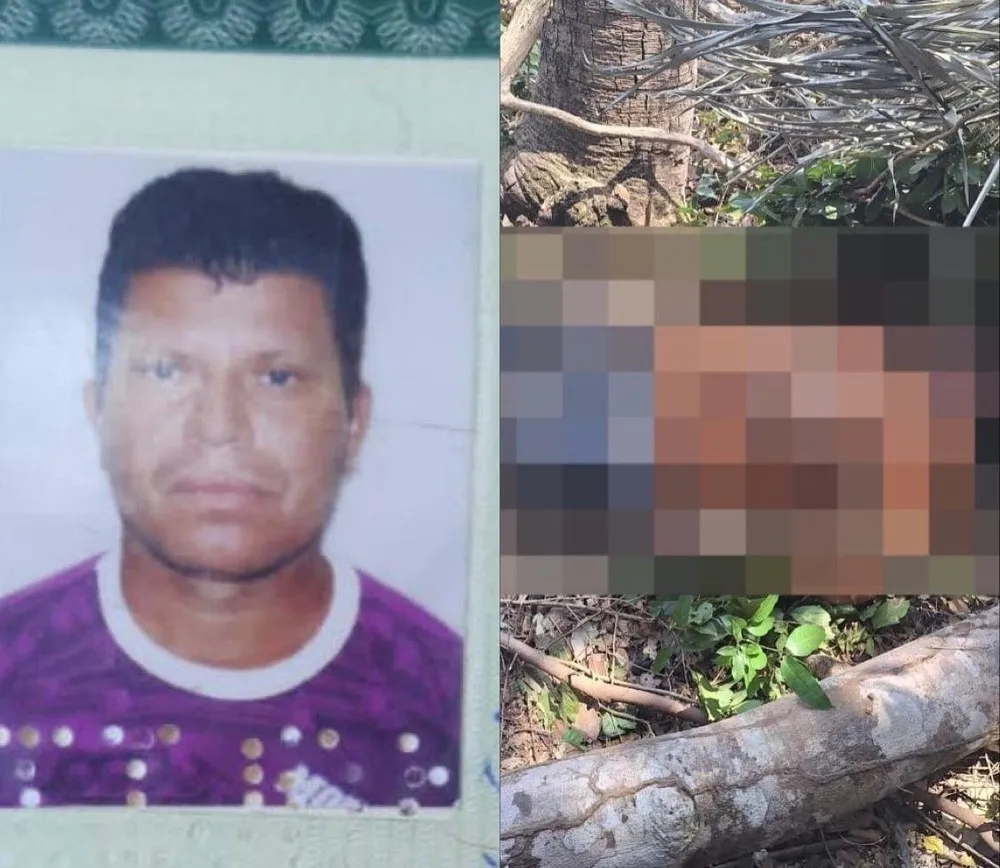 Homem morre atingido por árvore após corte com motosserra