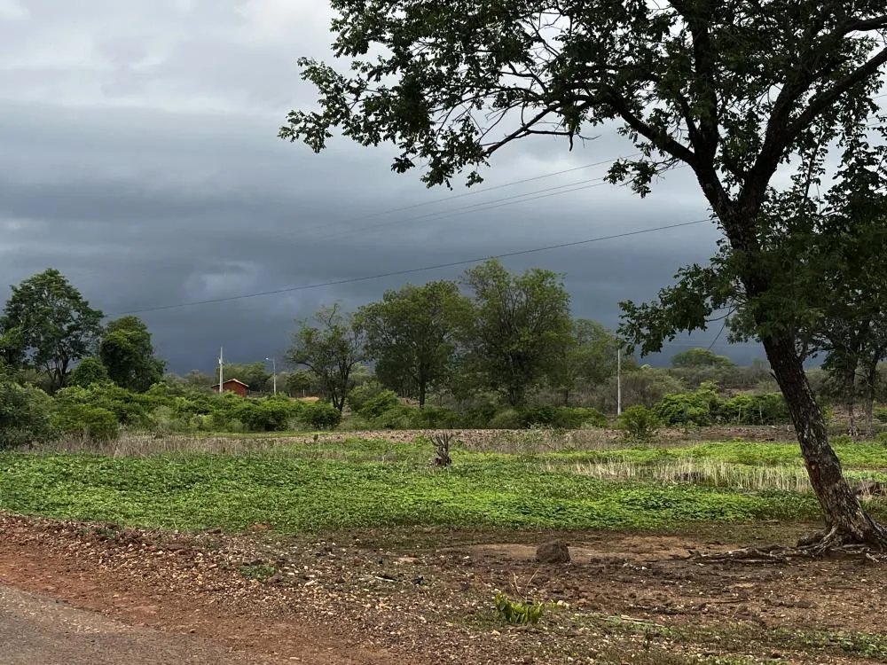 Piauí está com alerta de chuvas em todo o estado e volume pode chegar a 100mm