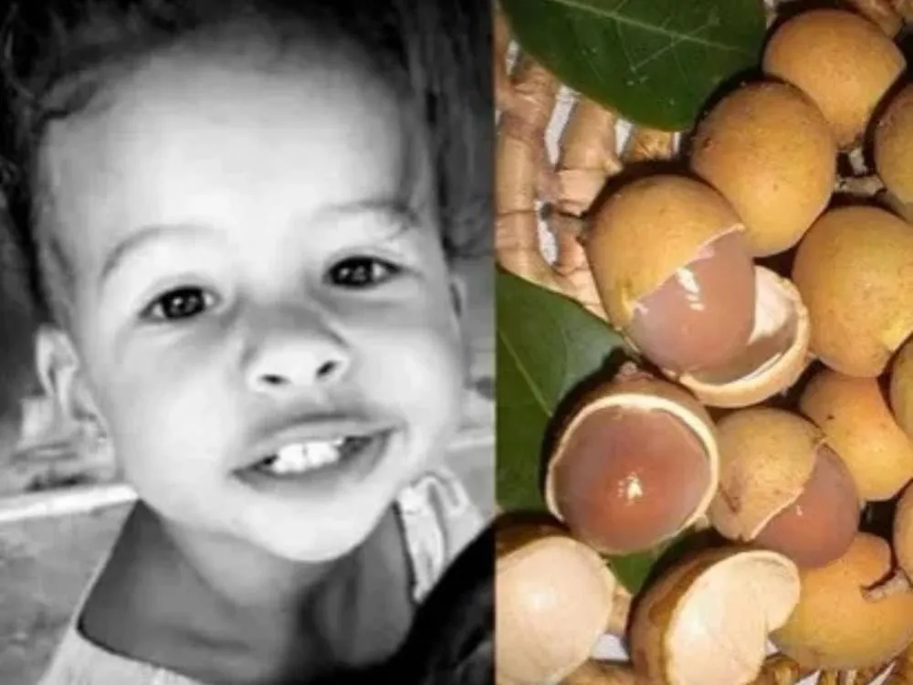 Tragédia em Pavussu: Criança de 2 anos morre após engasgar com caroço de pitomba