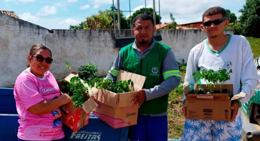São José do Peixe Investe em Sustentabilidade com Distribuição e Plantio de Mudas