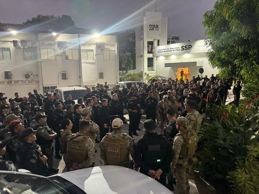 Megaoperação prende 20 pessoas e apreende 8 armas no Gogó da Cobra, em Teresina