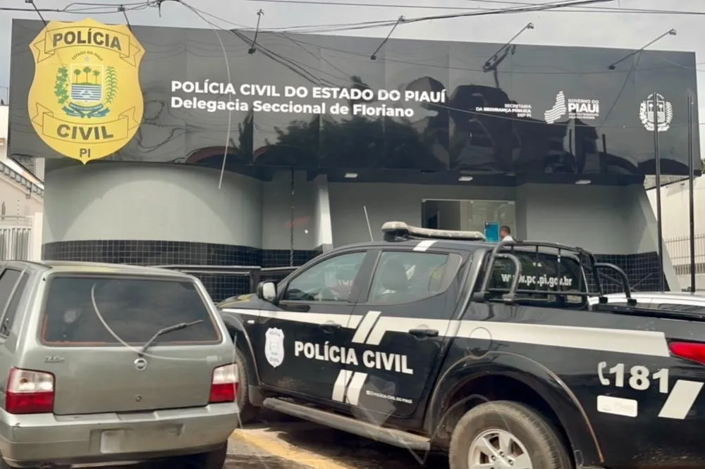 Polícia Civil deflagra operação “Mercadinho do Crime” em Floriano