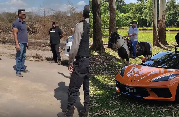 Polícia prende empresário do agronegócio e gerente de fazenda por grilagem e desmatamento ilegal no sul do Piauí