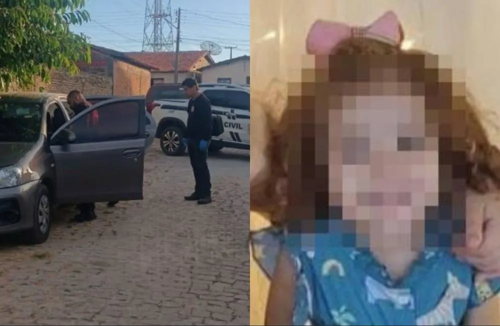 Pai de menina esquecida dentro de carro no PI vai responder por homicídio culposo, diz delegada