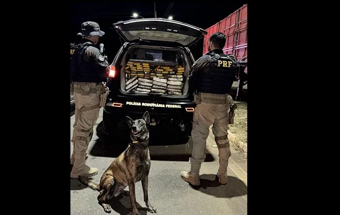 PRF apreende cerca de 210 kg de cocaína e 20 kg de skunk na BR-316 em Picos
