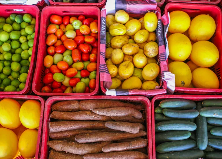 Estado abre credenciamento para boxes no Mercado Rodoviário Sul na BR-316
