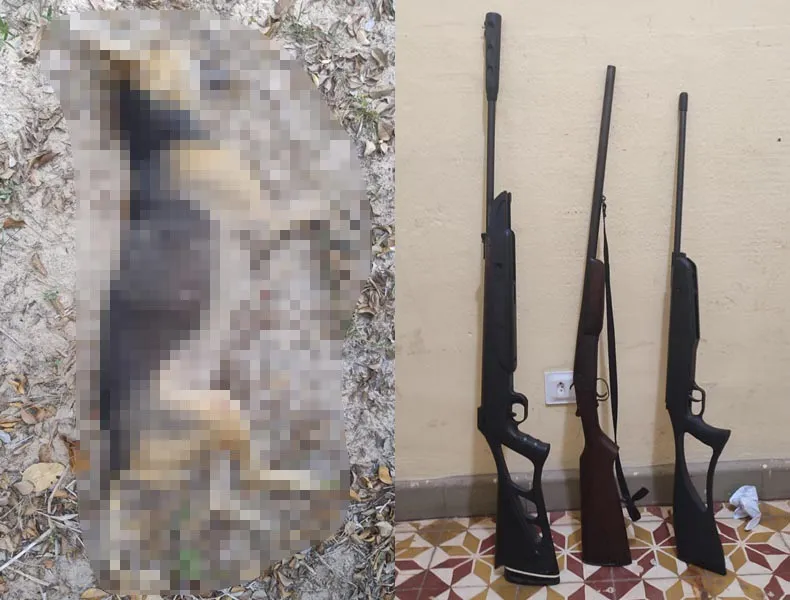 Homem é preso após matar cachorro a tiros e manter armas ilegais no Piauí