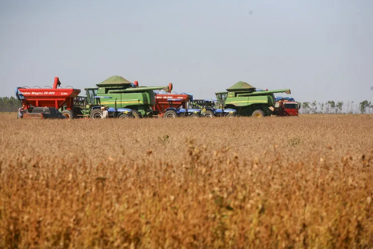 Produção de grãos no Piauí deve crescer quase 17% e atingir novo recorde em 2026