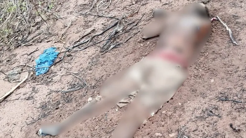 Corpo em decomposição é encontrado na zona rural de Alagoinha do Piauí