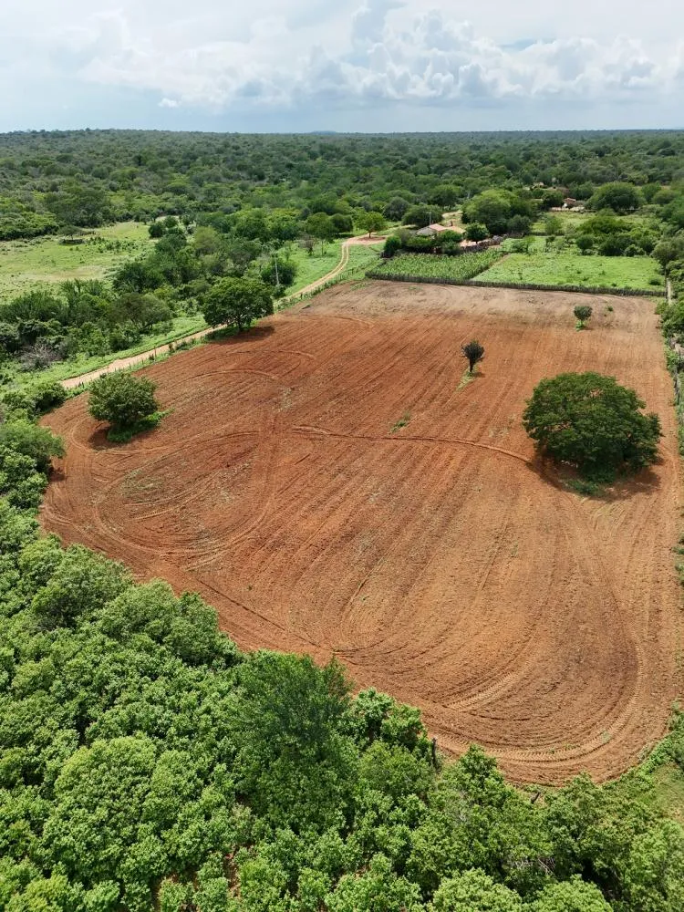 Prefeitura já realizou mais de 960 horas de aração de terras para agricultores familiares