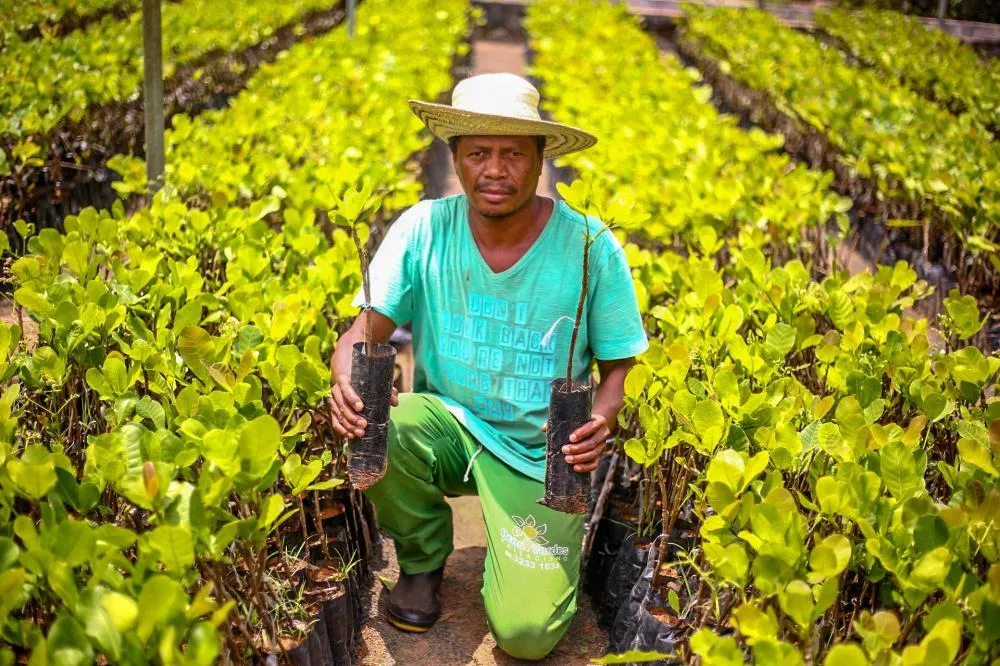 Plano Safra: agricultores do Piauí acessam R$ 1,8 bilhão em crédito