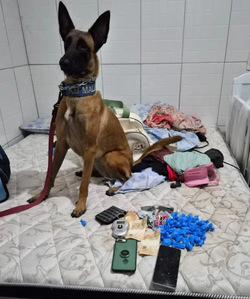 Suspeito desafia polícia, esconde drogas em climatizador e é flagrado por cão