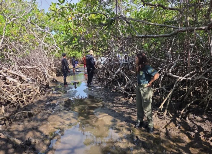 Fiscalização apreende 30 kg de caranguejo durante período de defeso no litoral do Piauí