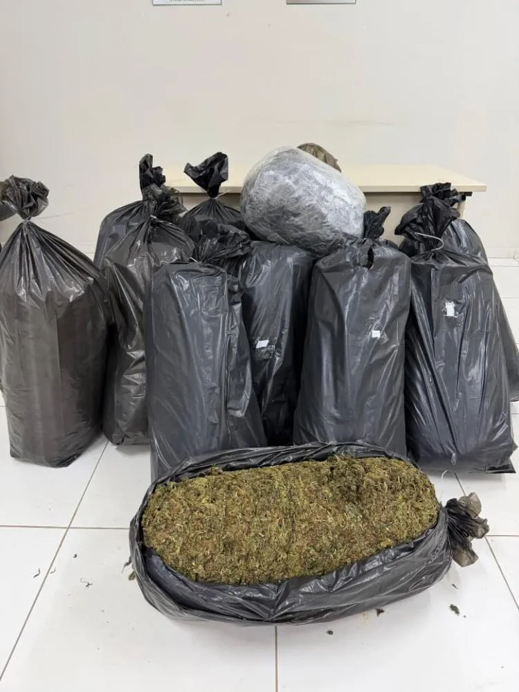 Motorista é preso transportando 121 kg de maconha em rodovia do Sul do Piauí