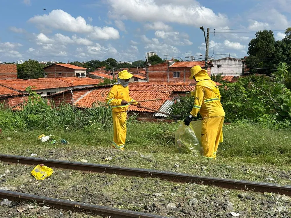 Mutirão tenta recuperar área degradada pelo descarte irregular na zona Sudeste