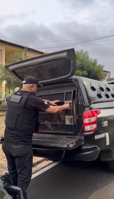 Suspeitos de tráfico e organização criminosa são presos na zona Sul de Teresina