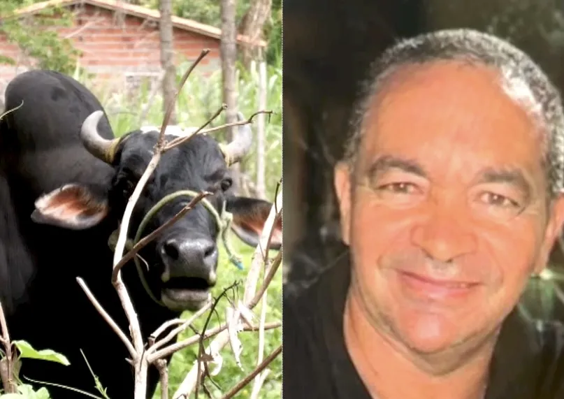 Empresário morre após ser atacado por boi de estimação em Teresina
