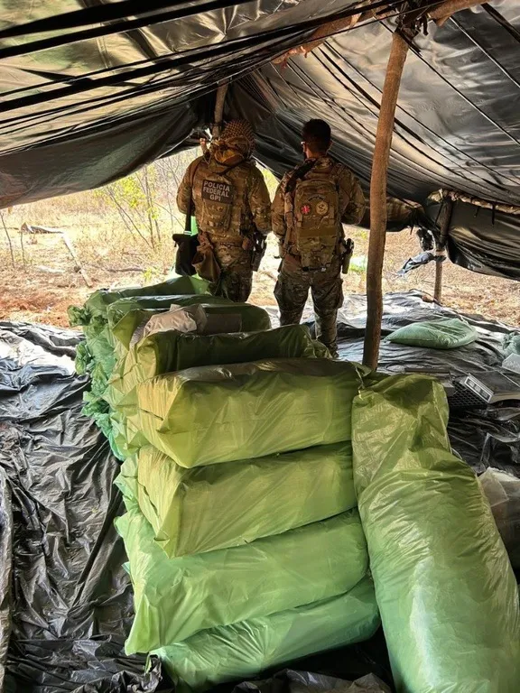 PF prende oito suspeitos durante erradicação de maconha no Piauí