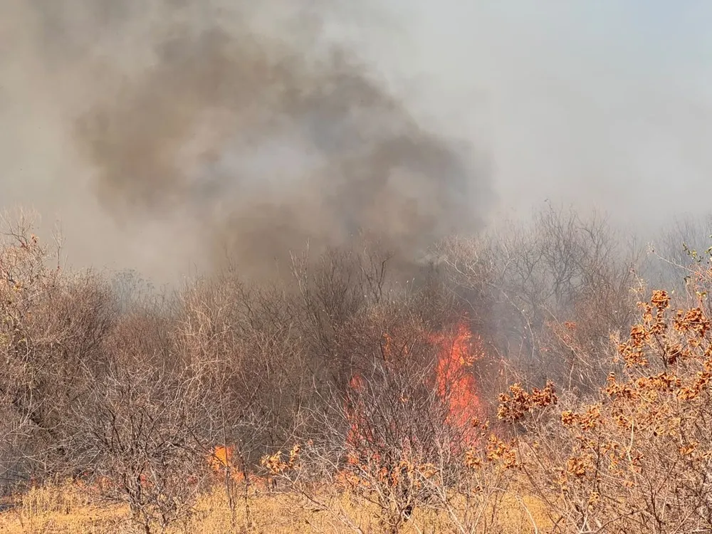 Piauí lidera em número de focos de incêndio com quase 280 registros em 24 horas, conforme o INPE